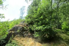 IMG_4762x