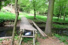 IMG_0182x